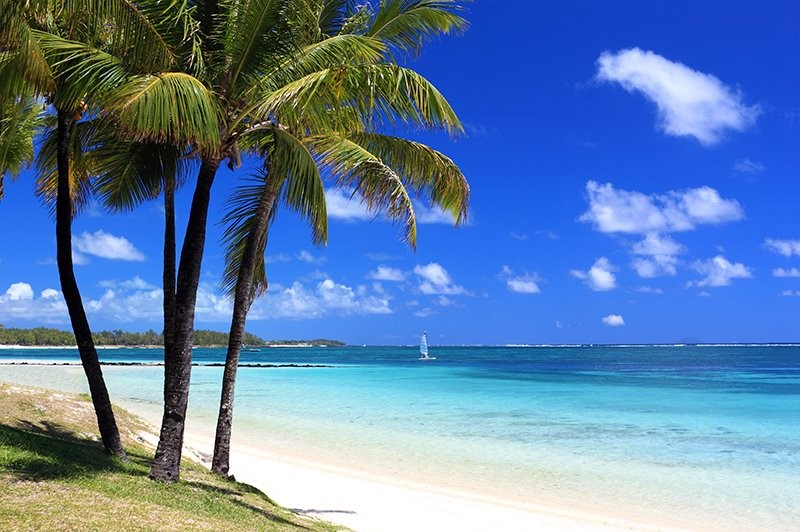 Illustration de la destination Pacifique